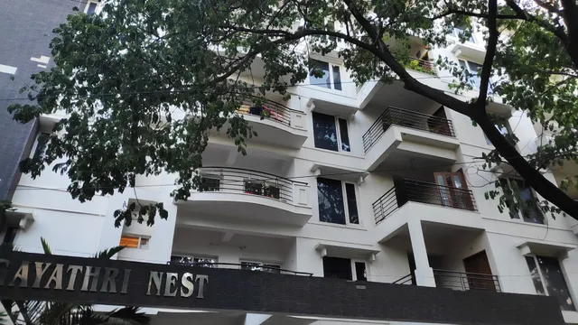 Humming Bird - Gayathri Nest