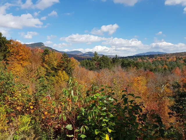 Sugar Hill Scenic Vista