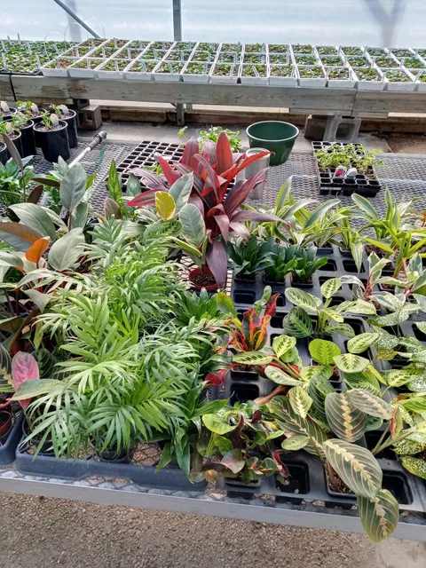 Adgate's Garden Center Inc