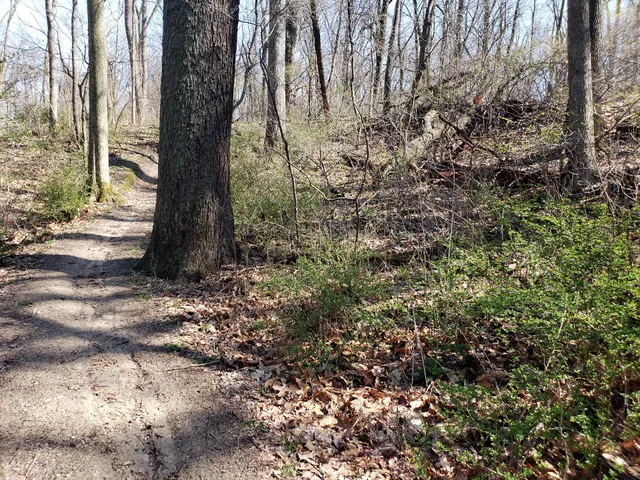 Miller Athletic Complex