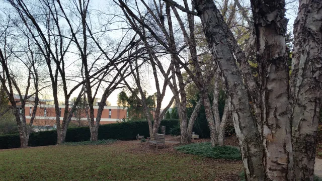 Virginia Western Community College The Community Arboretum