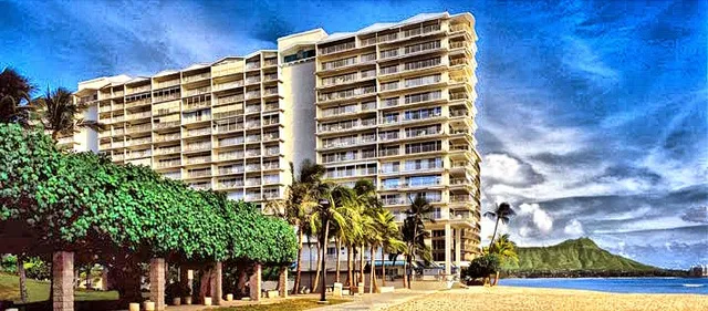 Arts of Paradise Gallery -working studio/gallery offering affordable art and art lessons