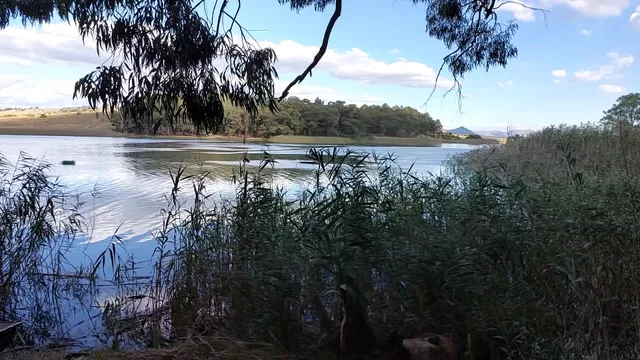 Petronella Guest House