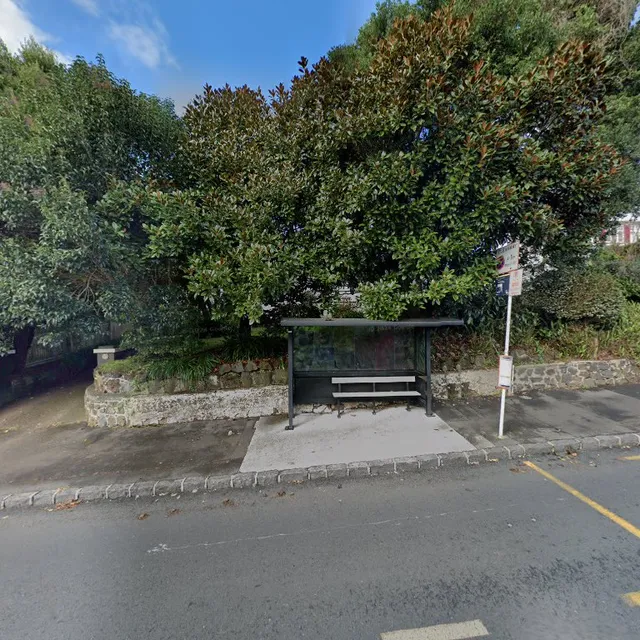 Ben Liu & Co. 刘小冰律师行