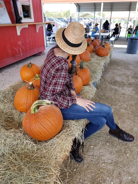 Pipe Creek Tree Farm & Pumpkin Patch
