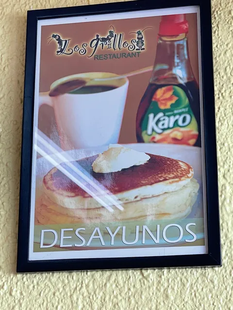 photo-1