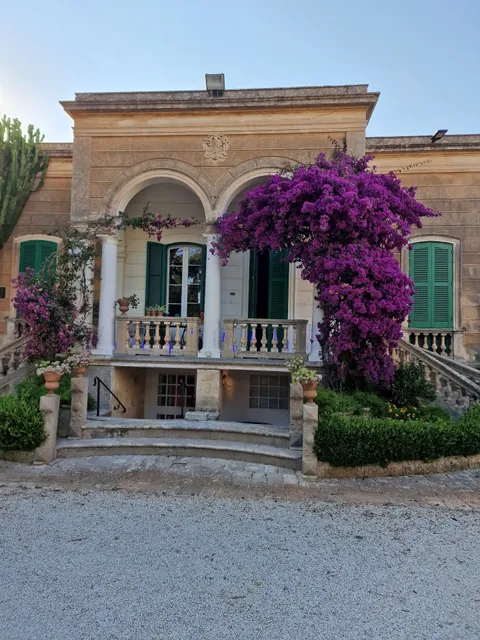 Alchemy Wellness Center