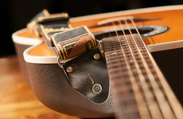 Fat Dog Sound & Light