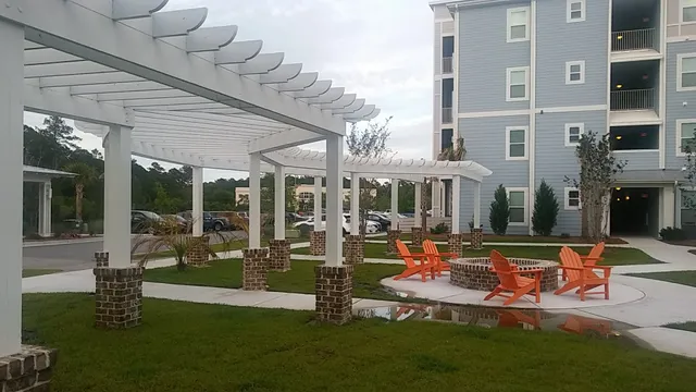 The Lively Apartments