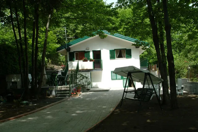 Castagneto dell'Etna