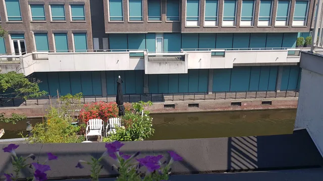 Blue Tulip Amsterdam