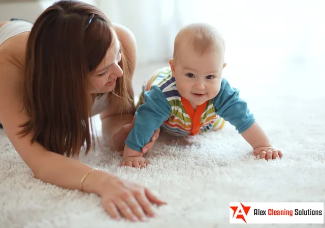 Alex Carpet Cleaning Solutions (ACS) Auckland CBD