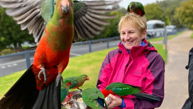 Rainforest Tours Australia