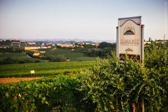 Vigneti Brichet di Massasso e Figli Cantine&Cucina