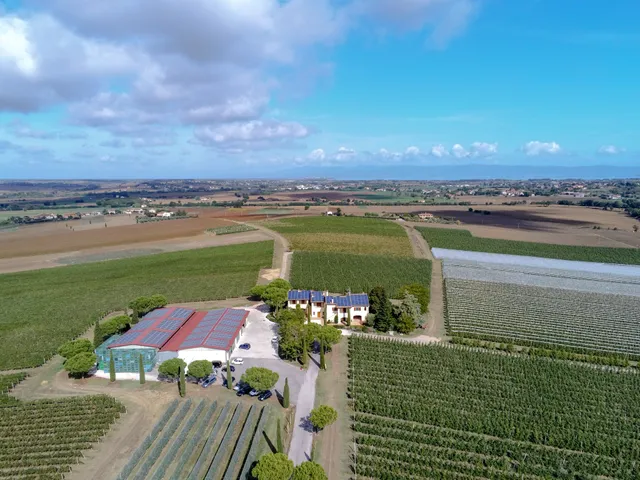 Azienda Agricola Collazzone S.S. La Saporita