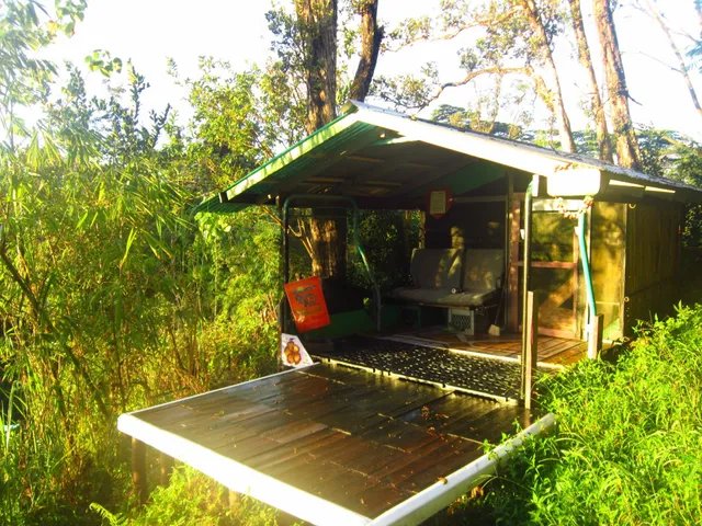 Hedonisia Hawaii Creative Community