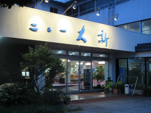 Hotel New Daishin