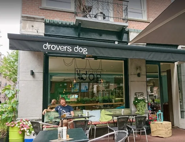 Drovers Dog Atjehstraat