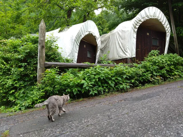 ノースランドキャンパーズビレッジ