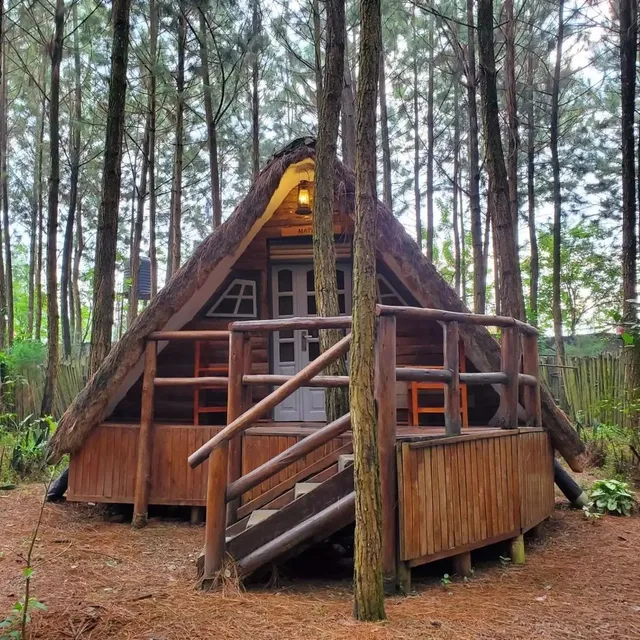 Nyungu Yamawe Forest Park