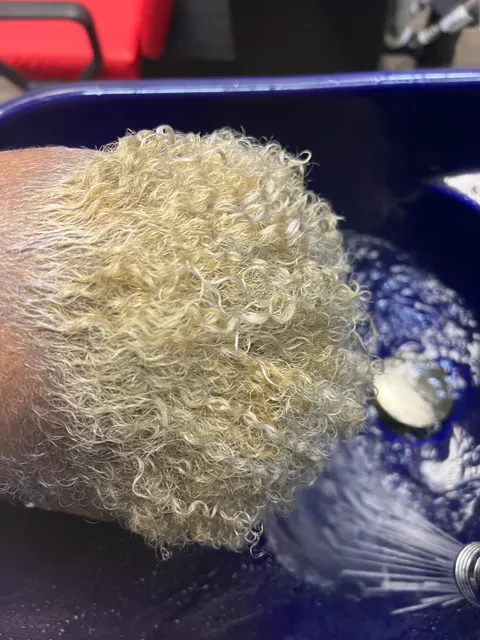 Robert Young Salons Inc