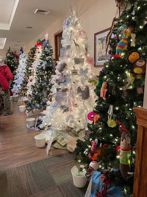 Boyertown Area Multi-Service