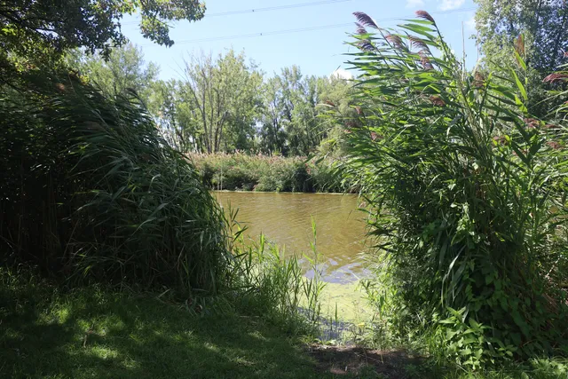 Parc de la rivière Saint-Jacques à Brossard