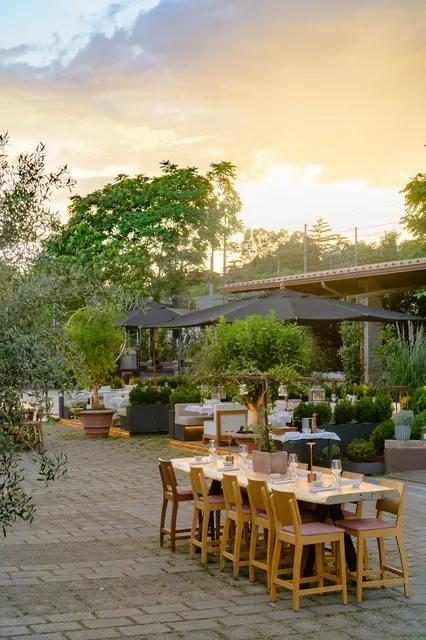 Solum Ristorante | Circo Massimo