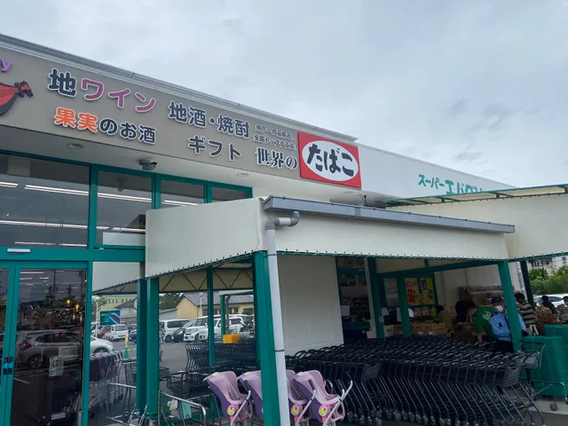 Super Evergreen - Miyamae