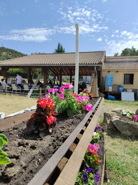 Bar de la Piscina (Pradena)