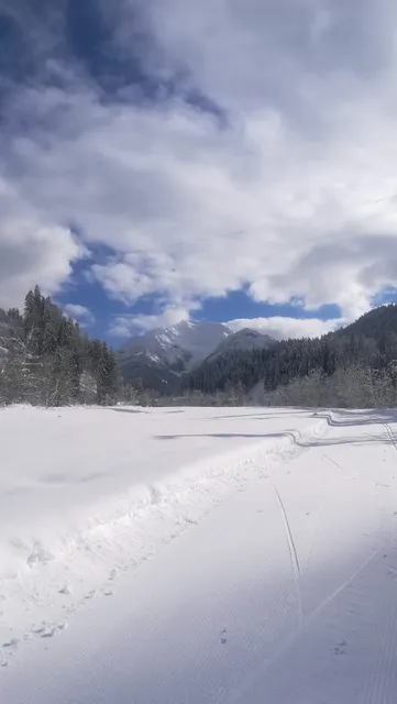 Ferienwohnungen & Zimmer Dandler