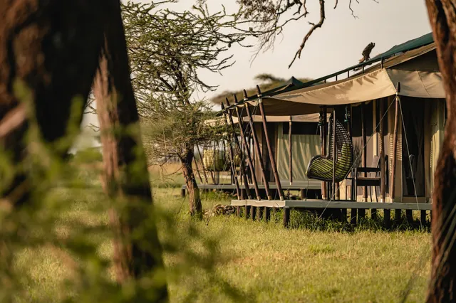 Ole Serai Luxury Camps - Turner Springs