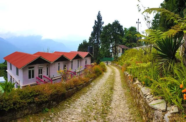 Wild Flower Retreat, Borong, Ravangla