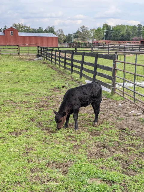 Frying Pan Farm Park - Parking Lot