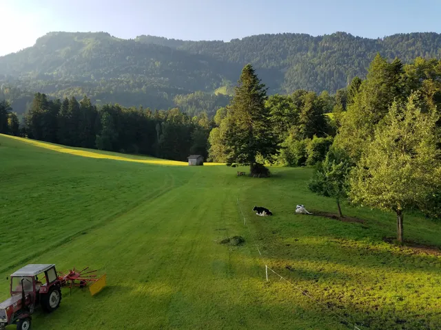 Meusburger Barbara und Hans