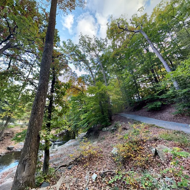 Glencarlyn Park Picnic Shelter #2