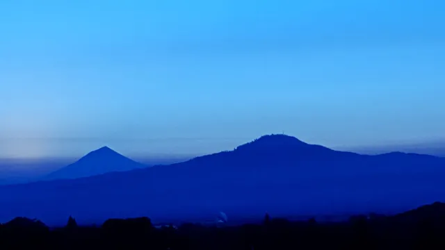 Vaughn Farm and Orchard