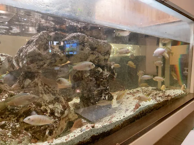 Pizza restaurant Pinocchio