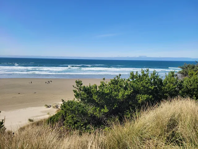 Yaquina Bay Beach Viewpoint