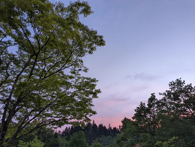 Municipal Takitani Forest Park.
