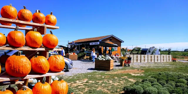 Schmitt's Farm Stand on Sound