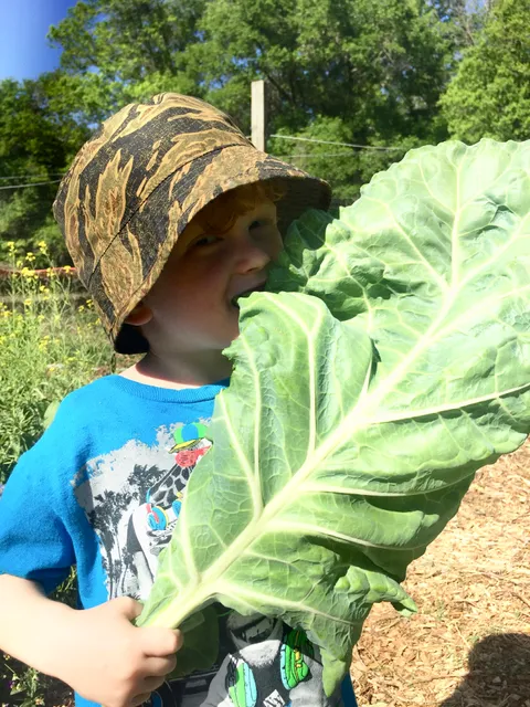 Working Food Community Center