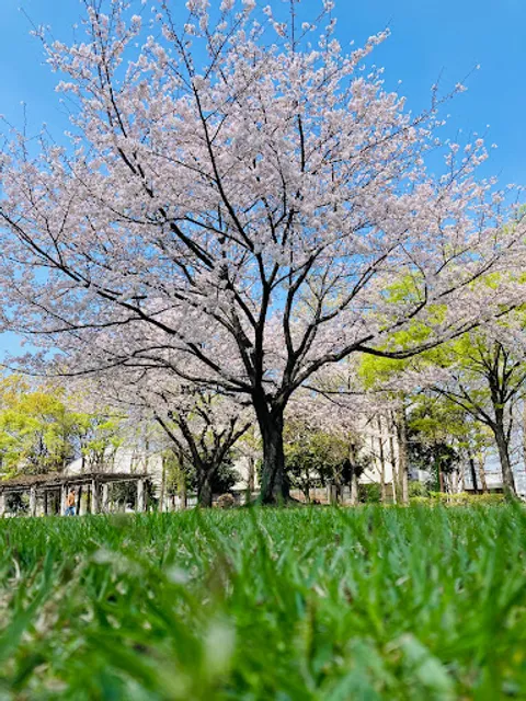 Mizumoto Park