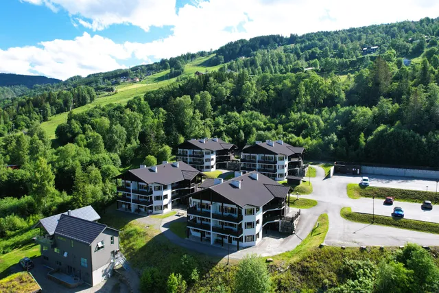 Alpin Apartments Sørlia