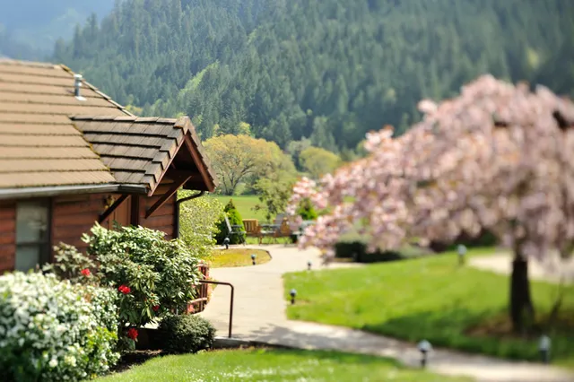 Big K Guest Ranch & Outfitters