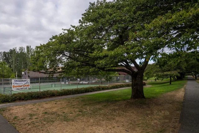Montlake Playfield Park