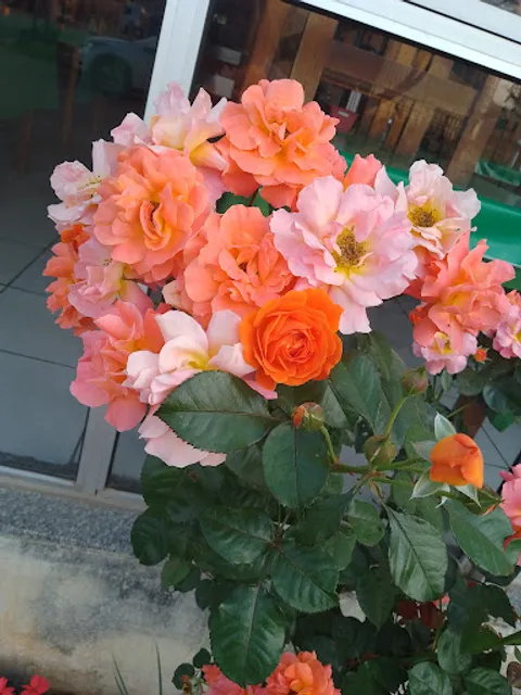 Restaurante Bandeirantes