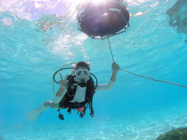 ジェントリーブルーグアム Gently Blue Guam