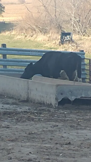 Westlinden Meat & Processing