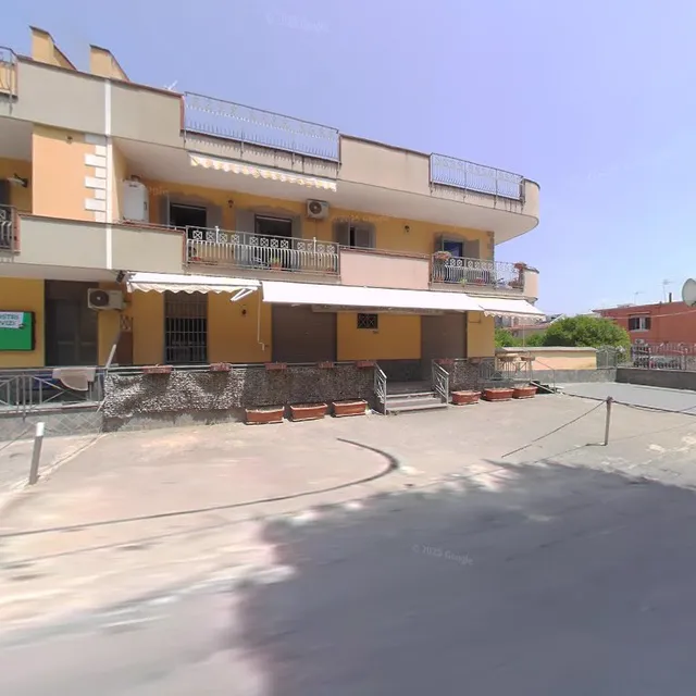 Pizzeria Cacace Pizzaiolo Napoletano